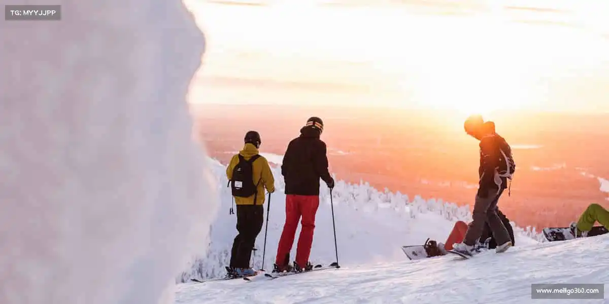 为什么选择我们